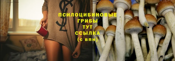дурь Белокуриха