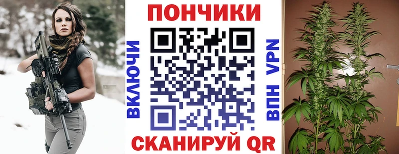 цена   Острогожск  Бошки марихуана марихуана 